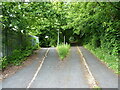 Path junction on Stafford Park