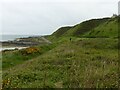 Banff Links