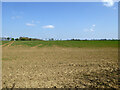 Fields west of Bluegate Hall