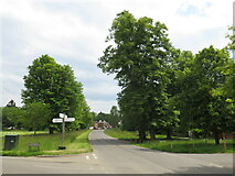 TQ0343 : B2128 road and village green, Shamley Green by Malc McDonald