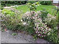 Flowers on Wild Hatch, Hampstead Garden Suburb