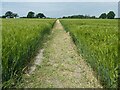 SU7956 : Elvetham - Footpath through wheat field by Rob Farrow