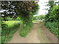 TQ0847 : Bridleway and farm track at Gomshall by Malc McDonald