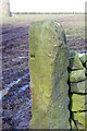 Old Milestone near Hartcliff Tower