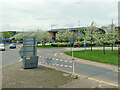 Cherry trees, Heathrow