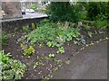 Crich Lane Festival Park, Belper