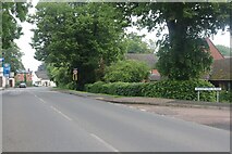 SP6480 : Northampton Road, Welford by David Howard