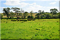 Tullyclunagh Townland