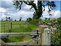 Footpath to Carew Newton and gate