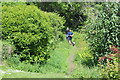 Walkers on path from Colby Woodland Garden