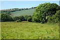 Pasture, St Issey