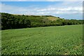 Farmland, St Breock