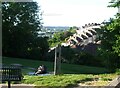 Reading in the park