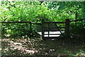 Gate on footpath up towards Club Cottage