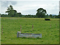 Fields west of Hook House Lane with water trough