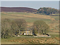 Rough pastures around Harwood Shield