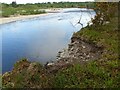 NJ3358 : The dynamic River Spey – erosion at work – 5 by Alan Murray-Rust
