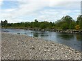 NJ3358 : The dynamic River Spey – erosion at work – 7 by Alan Murray-Rust