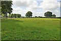 SD6125 : Meadow at Hoghton by philandju