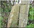 Leake, Boundary Stone