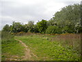 Public bridleway to Paterson Road, Wellingborough