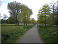 Path through Castle Fields, Wellingborough