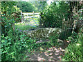 Stone Stile, Witcombe