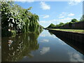 Beeston Canal, between bridges 19 and 18