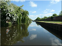 SK5435 : Beeston Canal, between bridges 19 and 18 by Christine Johnstone