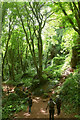 Valley of rocks, Watcombe