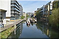 Kingsland Basin