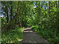 Old road, Charlwood