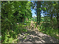 Stile on footpath 321 Charlwood