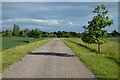 Track and farmland, Waltham St Lawrence