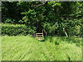 Stile on footpath 321 Charlwood