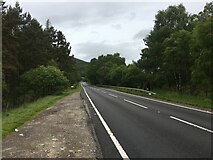 NH9016 : A95 near Avie Lochan by Steven Brown