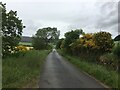 Minor road near West Davoch