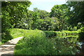 Monmouthshire and Brecon Canal near Pencelli