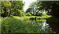 Monmouthshire and Brecon Canal near Pencelli