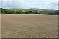 Farmland at Huntington