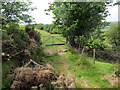 Llwybr Cwmcoygen / Cwmcoygen path