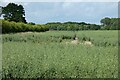 Farmland, Selborne