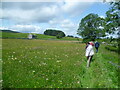 Hay Meadow at Piper Hole