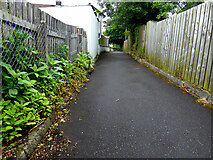 H4473 : Alley between Derry Road and the bypass, Omagh by Kenneth  Allen