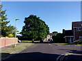 Lamppost in Upper Heyshott