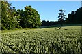 Farmland, Steep