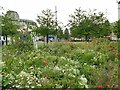 Flowers in General Gordon Square