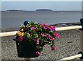 Floral display on Penarth Esplanade