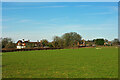 Houses at Greenings Farm