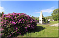 War Memorial, Dalmellington (1)